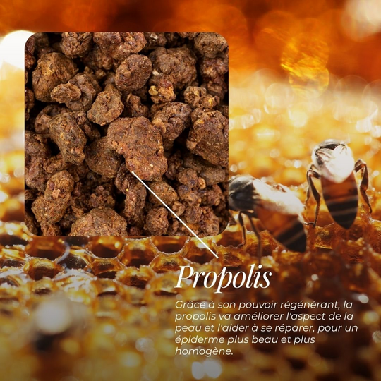 Savon Soin Surgras Propolis & Miel du Jura